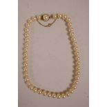 A pearl choker with a Spanish 925 silver gilt clasp, 14" long