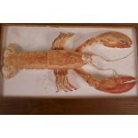 A plaster wall plaque cast as a lobster, 14" x 7½"