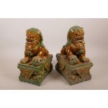 A pair of Chinese Sancai glazed pottery fo-dogs, 10½" high