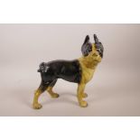 A cold painted cast iron French bulldog, 9" long x 9½" high