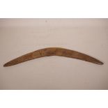 An antique Aboriginal boomerang with carved kangaroo decoration, 25" long