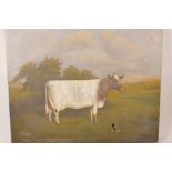 W.A. Clark, 'Ploughland Sunlight 9th', portrait of a short horn cow, signed and dated 1941, 24" x