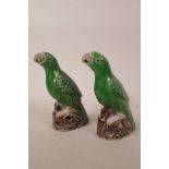 A pair of C19th Chinese pottery parrots, A/F, 7½" high