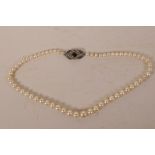 A good graduated pearl necklace with diamond, sapphire and ruby set white metal clasp (high carat