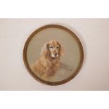 Reuben Ward Binks, portrait of a dog, signed watercolour and bodycolour, 8" circular