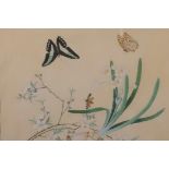 Indian Company School, 'Botanical study with butterflies', on J. Whatman 1805 paper, C19th, 12½" x