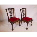Nine mahogany Chippendale style dining chairs with pierced splat backs, cabriole legs and ball and