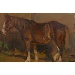 C20th English School, 'A pony' after Munnings, signed lower right recto, oil on board, 11" x 9"