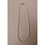 A single strand pearl necklace with hallmarked gold clasp, 20" long