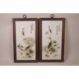 A pair of Chinese polychrome panels with carp decoration, in hardwood frames, 9" x 16"