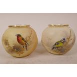Two Royal Worcester blush ivory squat vases, pattern No.G161, hand painted with garden birds, 3"