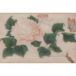 A C19th Chinese painting on rice paper, botanical study with a butterfly, 6½" x 10"