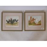 A C19th colour lithograph, Black Pollands with white crests, after Harrison Weir, and another,