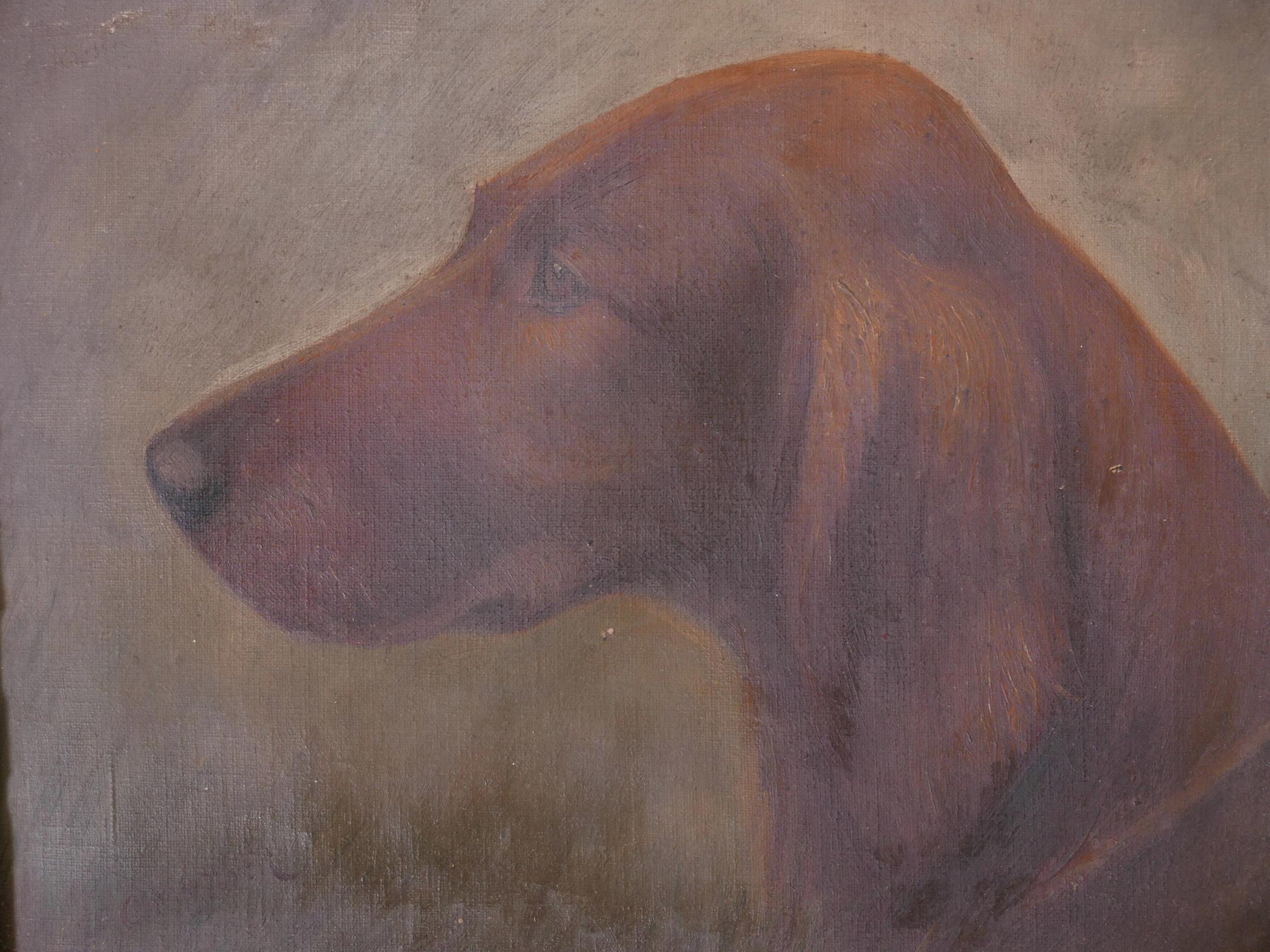 H. Crowther, study of an Irish Setter dog, signed, bears label verso, Gilbert's Art Gallery, 120