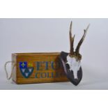 A hardwood box with rope handles, painted with 'Eton College' and its coat of arms, 12" long,