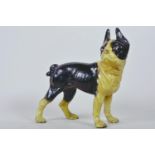 A cast iron figure of a French bulldog, 10" high