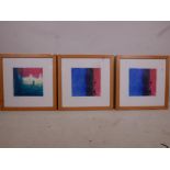 Denise Duplock, three abstract screen prints , Elba Square, Isticia Square, and another, all