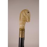 A hardwood walking stick with carved bone horse head handle, 36½" long