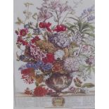 Robert Furber (British, 1674-1756), two prints from the 'Twelve Months of Flowers' published