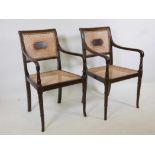 A pair of Regency style mahogany open armchairs with a cane seat and back