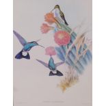 J. Gould & H.C. Richter (British, C19th), 'Humming Bird' lithographs, published by Hull Mandel &