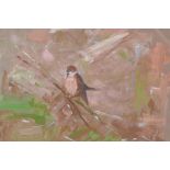 Study of a bird on a branch, indistinctly signed, oil sketch on paper, 9" x 11½"