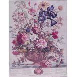 Robert Furber (British, 1674-1756), two prints from the 'Twelve Months of Flowers', published