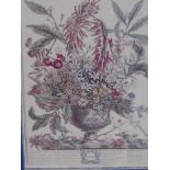 Robert Furber (British, 1674-1756), two prints from the 'Twelve Months of Flowers', published