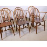 A set of six (two carvers and four standards) Ercol dining chairs, stamped 1960, 2056 and a Kitemark