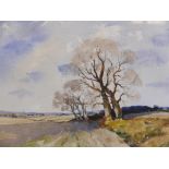 Frank Parker (British, fl. C20th), autumnal trees beside a farrowed field, signed and dated '96