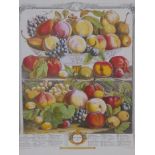 Robert Furber (British, 1674-1756), two prints from the 'Twelve Months of of Fruits', published
