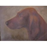 H. Crowther, study of an Irish Setter dog, signed, bears label verso, Gilbert's Art Gallery, 120