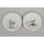 A pair of small Royal Worcester plates, hand painted with garden birds by W. Powell, 5¼" diameter,