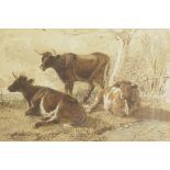 Thomas Sidney Cooper, cattle under a tree, signed and dated 1882, watercolour, 5½" x 4"
