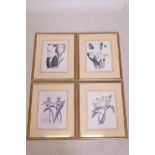 A set of four botanical prints of orchids, after the original, 11½" x 9"