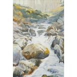 Ian Donald, rocky waterfall, signed and titled verso 'Garbh Allt Falls nr Invercauld',