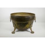 A brass coal bucket with two lion mask handles and paw feet, 14" x 19"