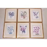 A set of six botanical prints of orchids, after the original, 12½" x 9"