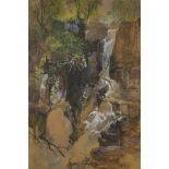 C. Branwhite, waterfall in a rocky gorge, signed with initials, titled verso, Pistyll Rhaedr Fau