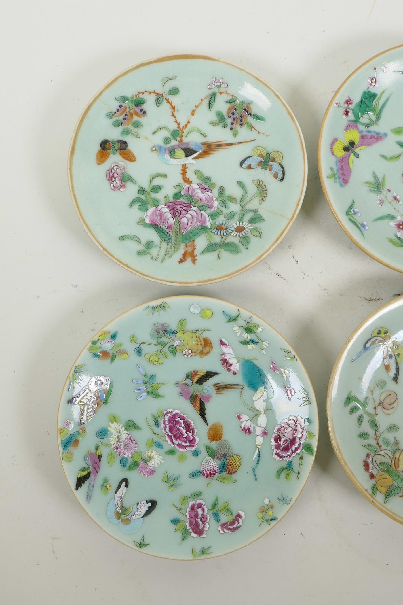 Six early C19th Chinese celadon famille rose porcelain plates, with enamel decoration of butterflies - Image 2 of 5