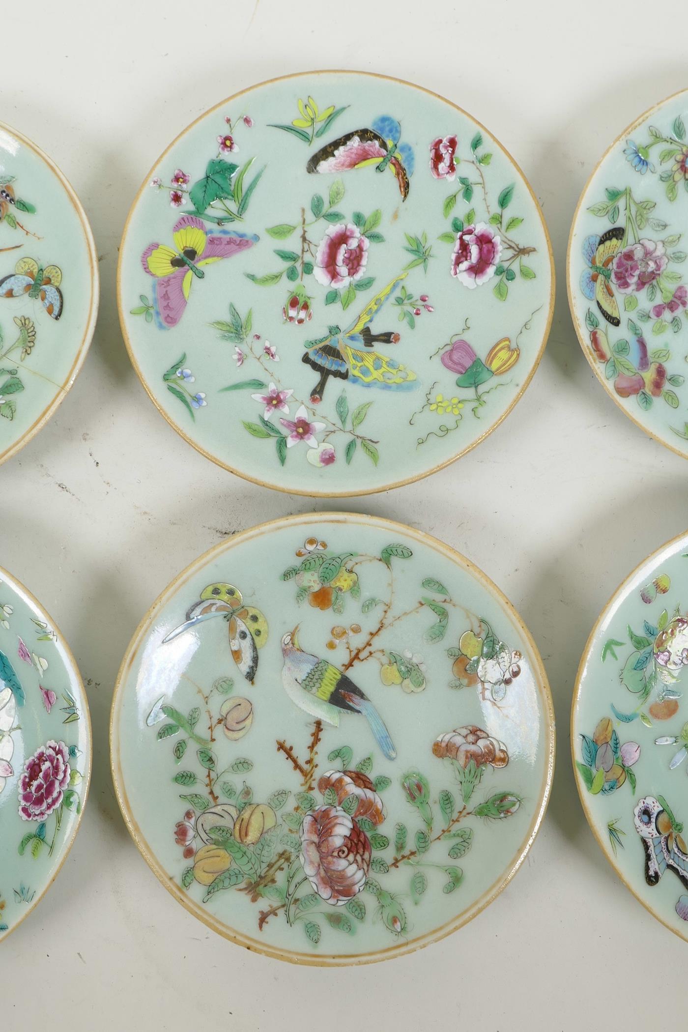 Six early C19th Chinese celadon famille rose porcelain plates, with enamel decoration of butterflies - Image 3 of 5