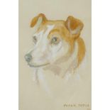 Portrait of a Jack Russell, signed Frank Paton, dated 96, watercolour and bodycolour, 8½" x 5½"