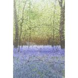 Ian Pethers artist, bluebell wood, signed, watercolour, 3½" x 6"