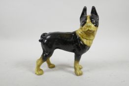 A cold painted cast iron pug dog, 7½" long