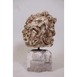 A reconstituted marble head bust of Laocoon, after the original sculpture 'Laocoon and his sons'