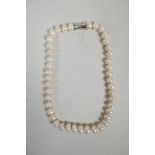 A chunky white pearl necklace, 16" long