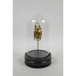 A novelty gilt composition beetle mounted in a glass dome display case, 8" high