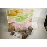 A collection of Geological Specimens together with a chart, 'The Geological Map of the Central