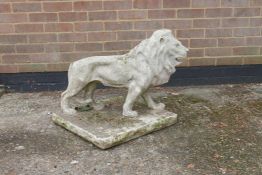 A concrete garden sculpture of a lion, tail A/F, 21" x 21", 21" high