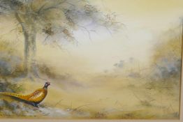Stephen Francis Allen, pheasant in a landscape, signed and dated '87, watercolour, 14" x 9"